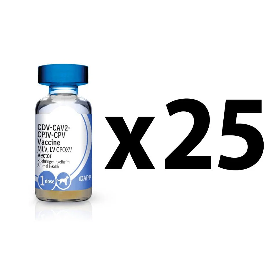 Recombitek C-4 Dog Vaccine (25 x 1mL) - Image 2