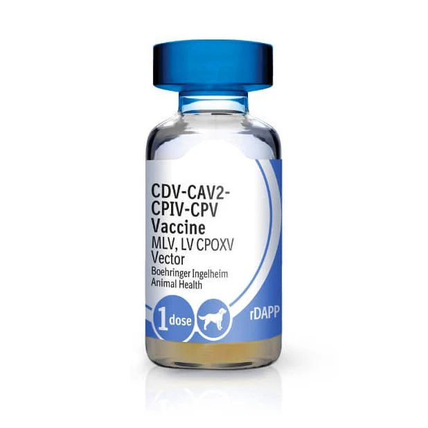 Recombitek C-4 Dog Vaccine (25 x 1mL) - Image 1