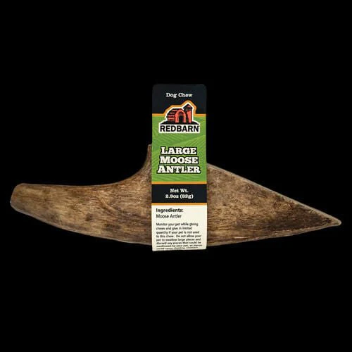 Redbarn Large Palm Moose Antler - Image 1