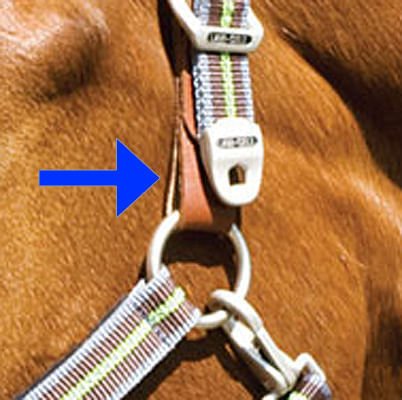 Replacement Tab for Breakaway Halter - Image 1