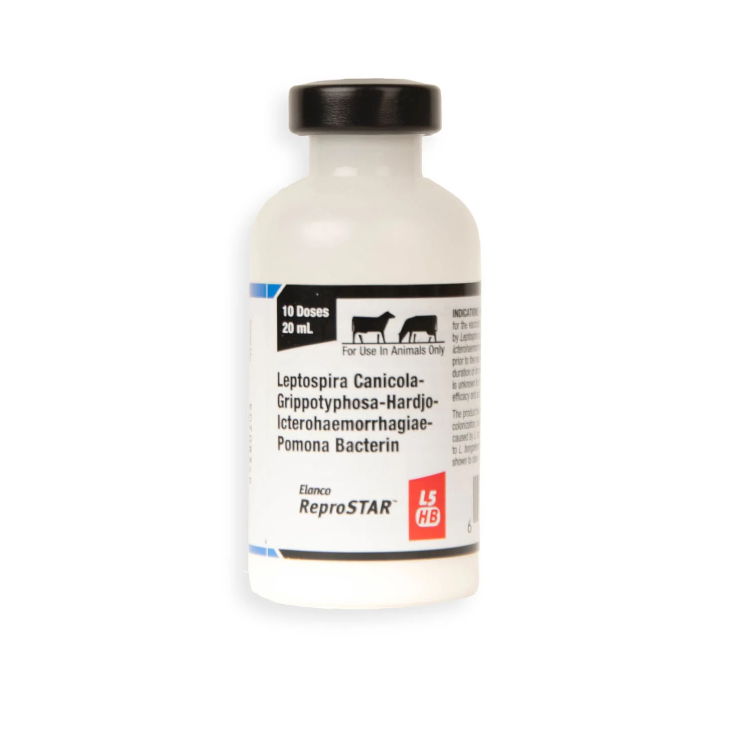 ReproSTAR L5 HB Cattle Vaccine - Image 1
