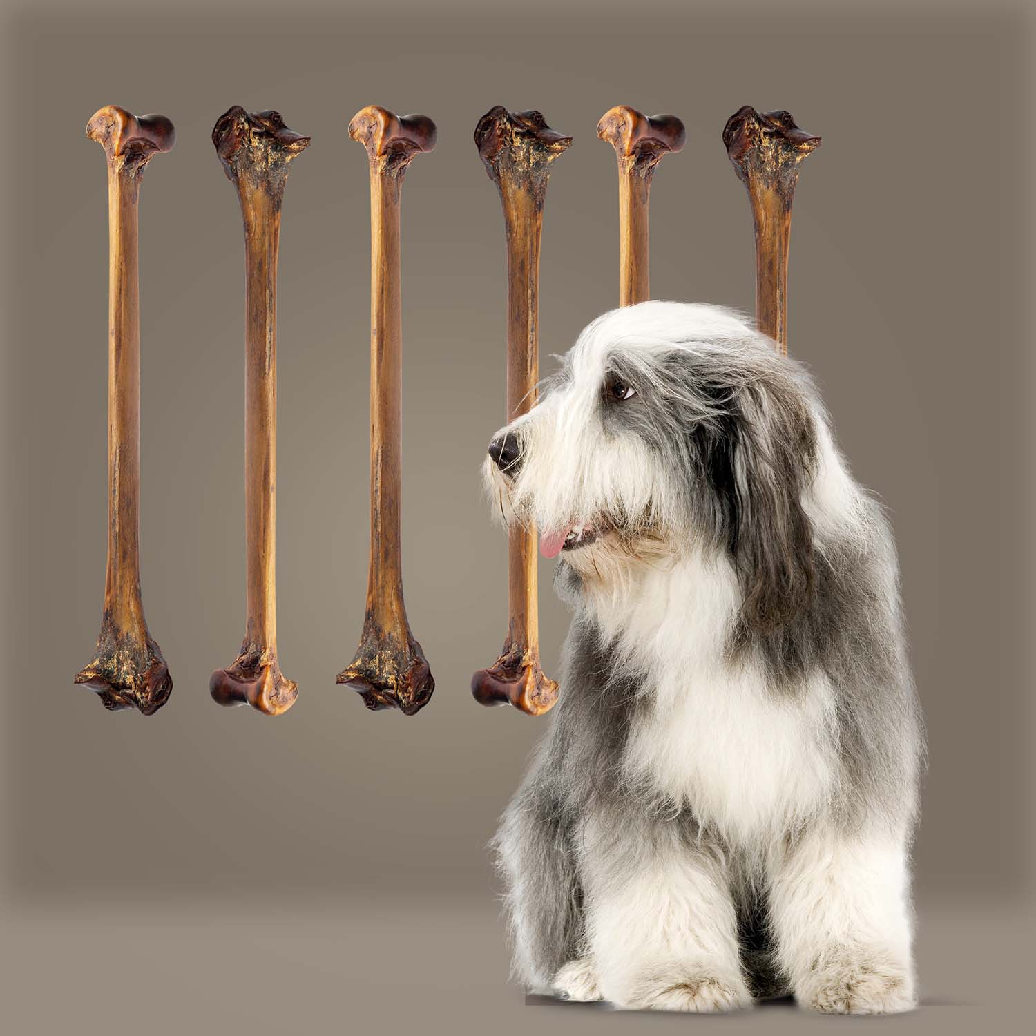 Roam Ostrich Bone Long Lasting Dog Treat - Image 2