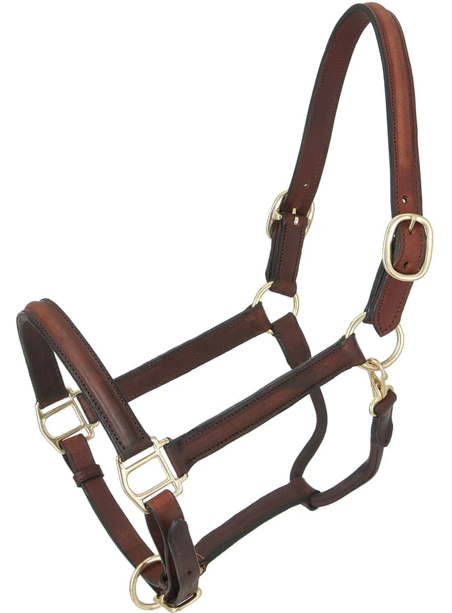 Royal King Raised Leather Halter - Image 1
