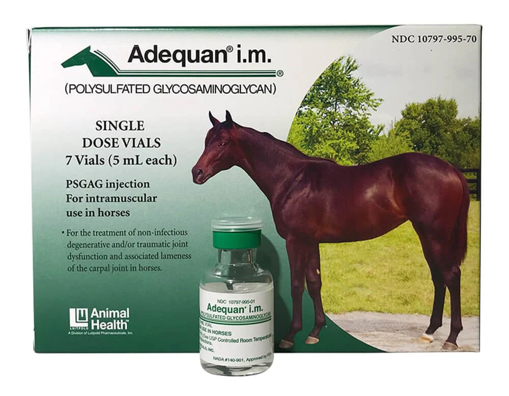 Rx Adequan i.m. Equine (polysulfated glycosaminoglycan) Injectable for Horses - Image 1