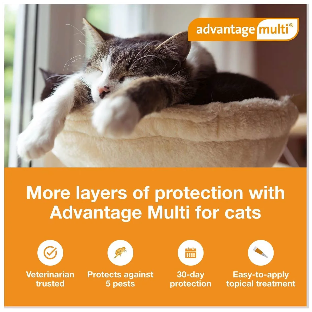 Rx Advantage Multi for Cats - Image 3