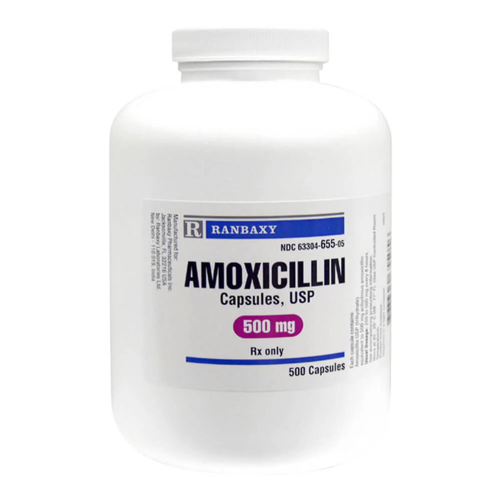 Rx Amoxicillin (Generic) Capsules for Dogs & Cats - Image 2