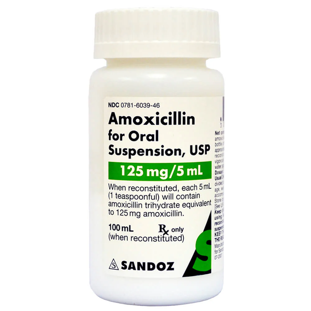Rx Amoxicillin (Generic) Oral Suspension for Dogs & Cats - Image 1