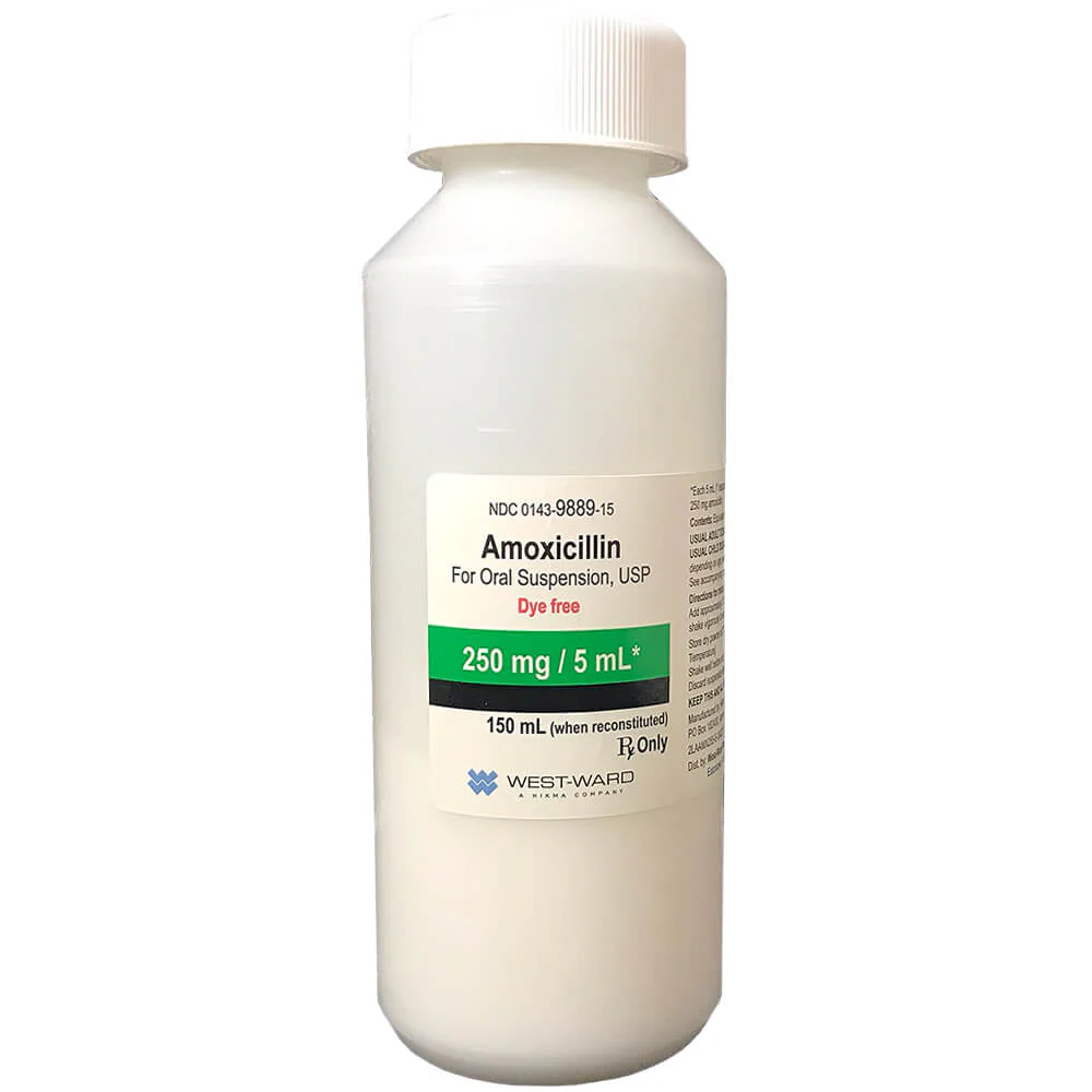 Rx Amoxicillin (Generic) Oral Suspension for Dogs & Cats - Image 2