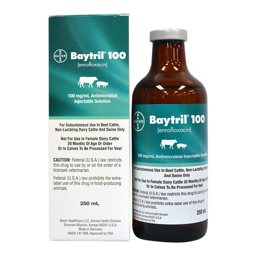Rx Baytril 100 (enrofloxacin) 100mg/mL Antimicrobial Injectable Solution for Swine & Cattle - Image 1