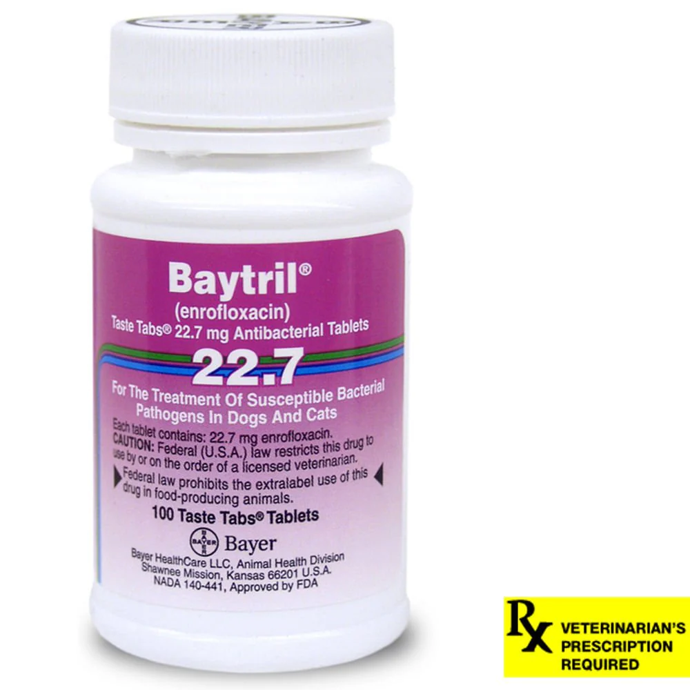 Rx Baytril (enrofloxacin) Coated Tablets for Cats & Dogs - Image 1