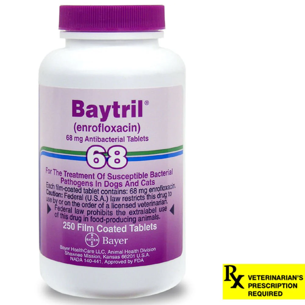 Rx Baytril (enrofloxacin) Tablets for Dogs and Cats - Image 1