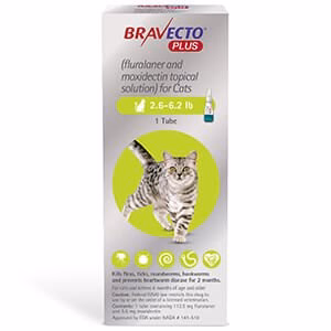 Rx BRAVECTO Plus Topical for Cats - Image 2
