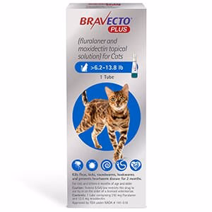 Rx BRAVECTO Plus Topical for Cats - Image 3