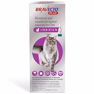 Rx BRAVECTO Plus Topical for Cats - Image 1