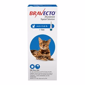 Rx BRAVECTO Feline Topical for Cats - Image 1
