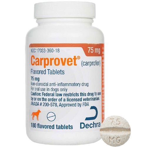 Rx Carprovet (carprofen) Flavored Tablets for Dogs, Pain Relief & Anti-Inflammatory - Image 1