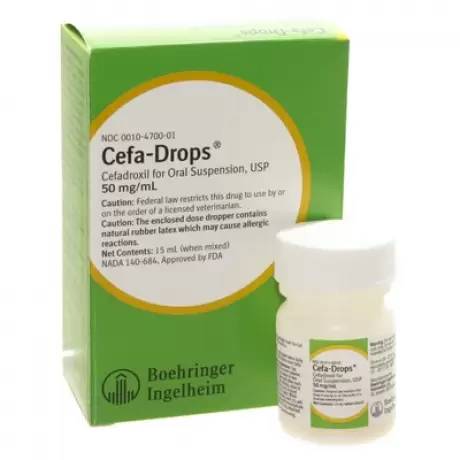 Rx Cefa-Drops (cefadroxil) for Cats & Dogs, 50mg/ml x 15ml - Image 1