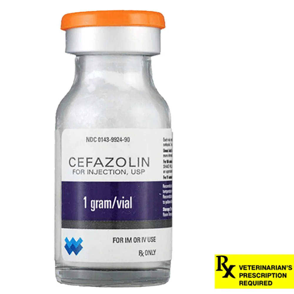 Rx Cefazolin, 1 gm Vial - Image 1
