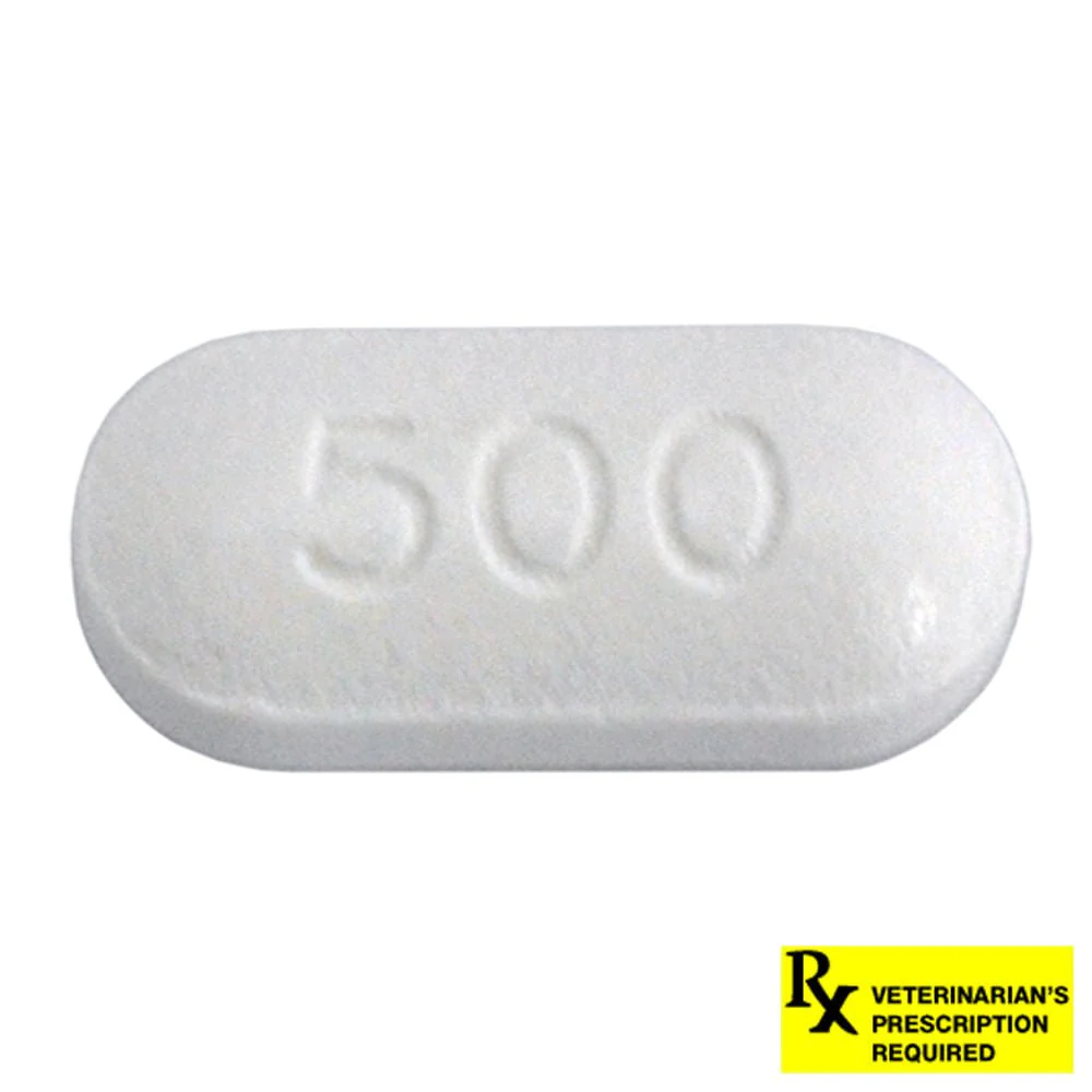 Rx Ciprofloxacin HCl (Generic) Tablets for Dogs & Cats - Image 3