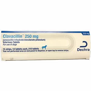 Rx Clavacillin (amoxicillin trihydrate/clavulanate potassium) Tablets for Dogs & Cats - Image 1