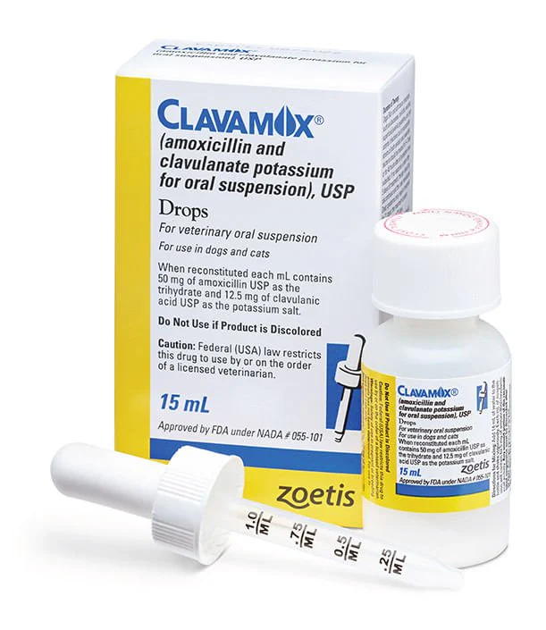 Rx Clavamox for Dogs and Cats (Amoxicillin trihydrate/clavulanate potassium) For Oral Suspension Oral Drops, 15 ml - Image 1