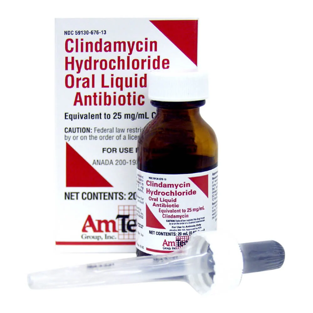 Rx Clindamycin, 25mg/ml Oral Drops x 20 ml bottle - Image 1