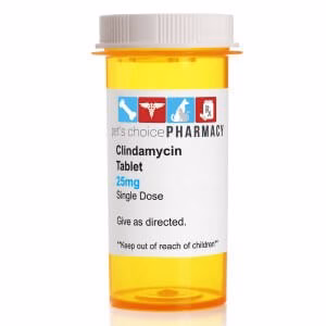 Rx Clindamycin (Generic) Tablets for Dogs - Image 3