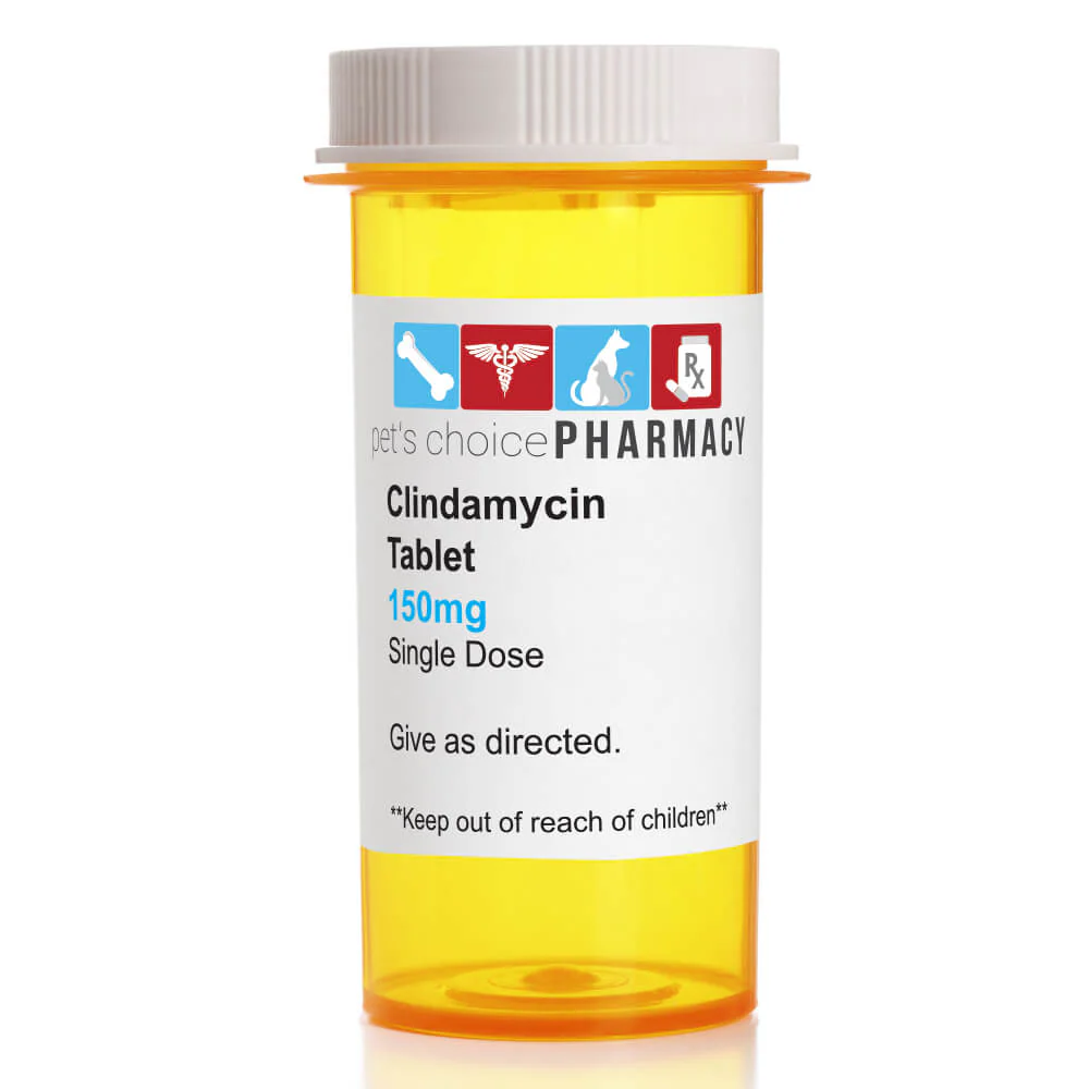 Rx Clindamycin (Generic) Tablets for Dogs - Image 1