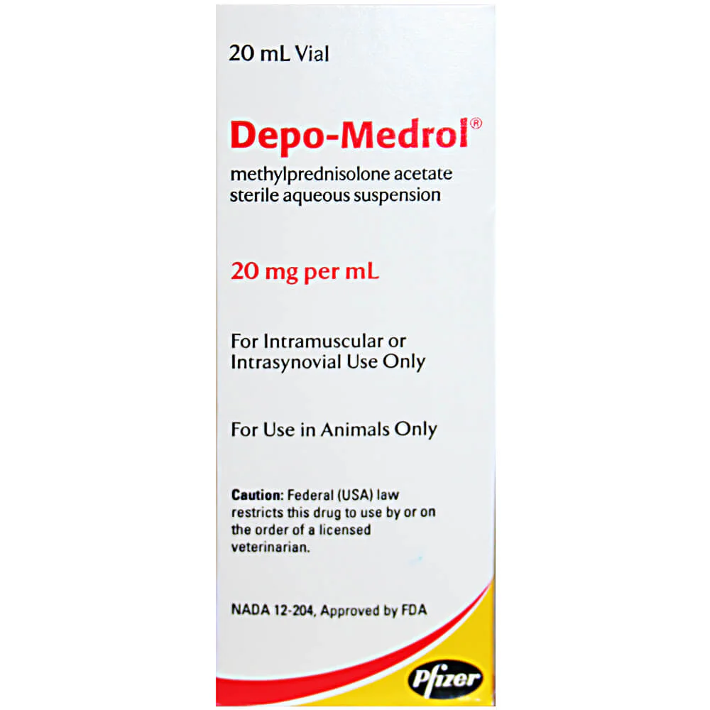 Rx Depo-Medrol® Injection for Dogs, Cats, & Horses - Image 1