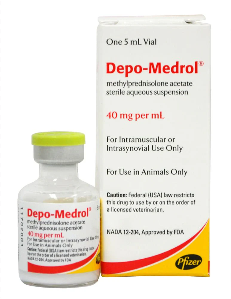 Rx Depo-Medrol® Injection for Dogs, Cats, & Horses - Image 2