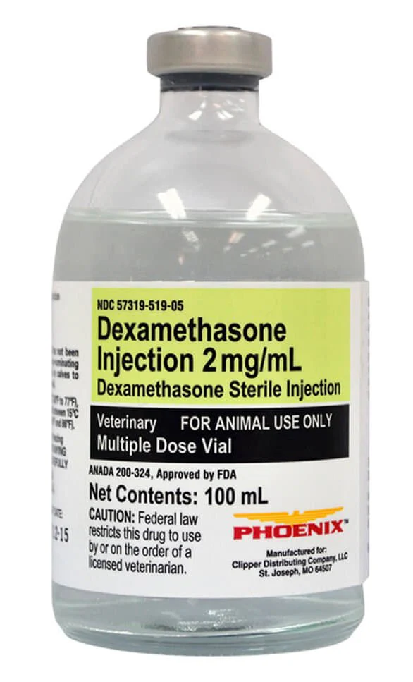 Rx Dexamethasone 2mg/ml x 100ml Injectable - Image 1