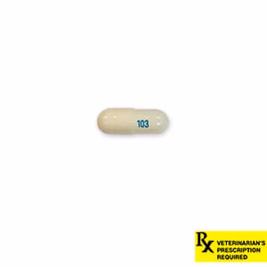 Rx Gabapentin (Generic) Capsules for Dogs & Cats - Image 3
