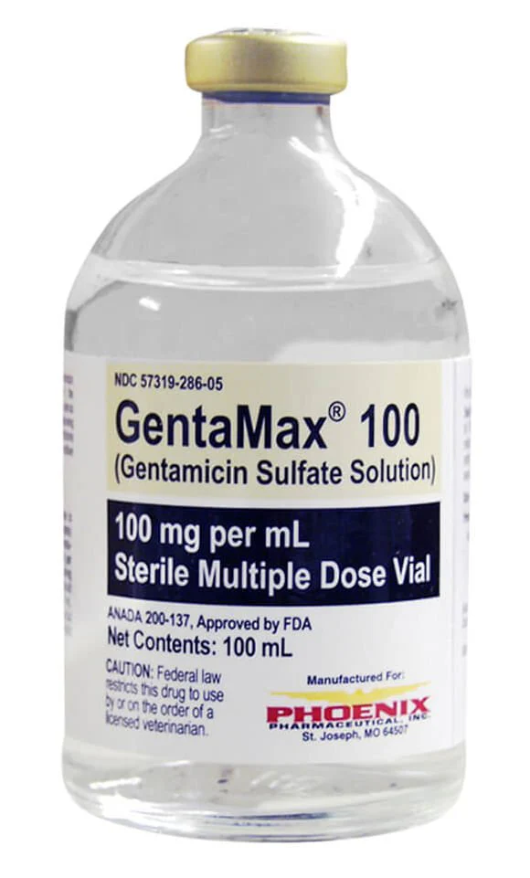 Rx GentaMax (gentamicin sulfate solution) 100 mg/mL Injection for Horses - Image 1