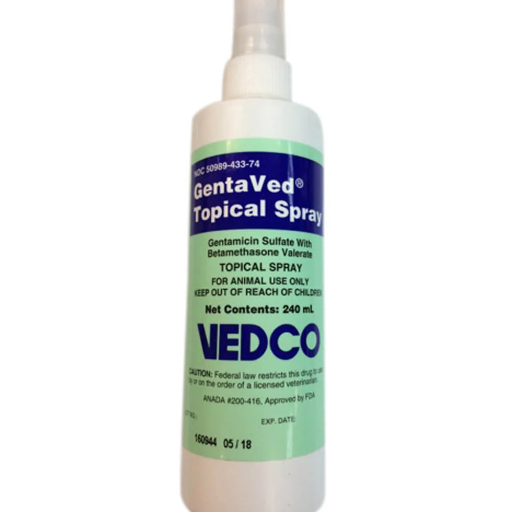 Rx GentaVed (gentamicin sulfate with betamethasone valerate) Topical Spray for Dogs - Image 1