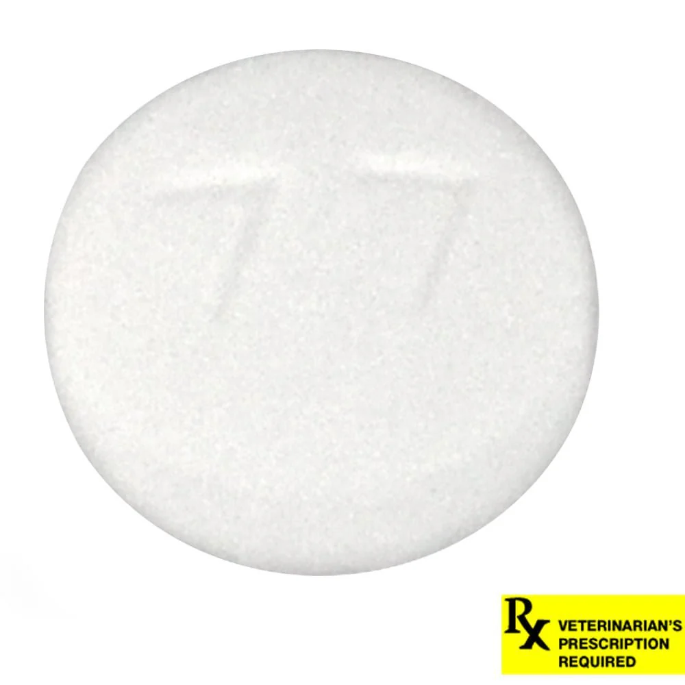 Rx Hydroxyzine HCl (Generic) Tablets for Dogs & Cats - Image 3