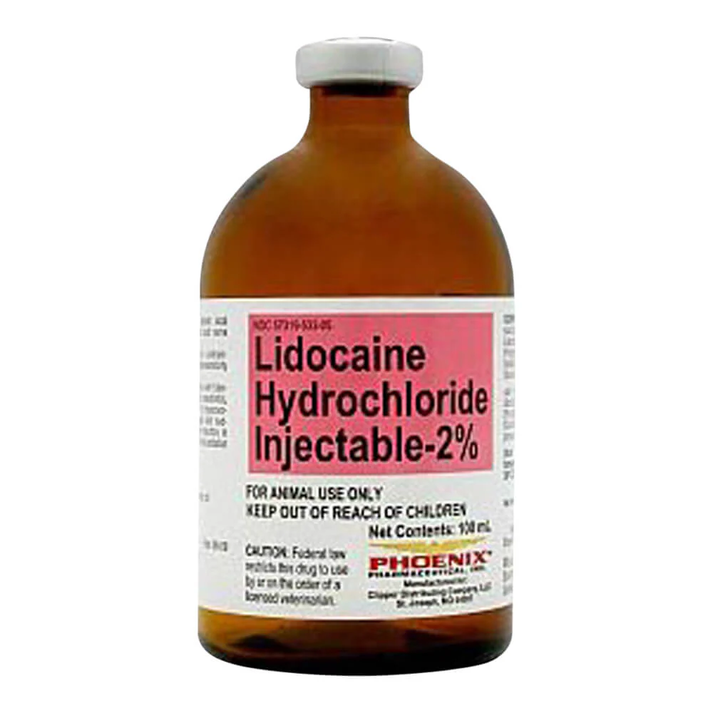 Rx Lidocaine Hydrochloride (Generic) Injectable 2%, 100 ml for Horses & Cattle - Image 1