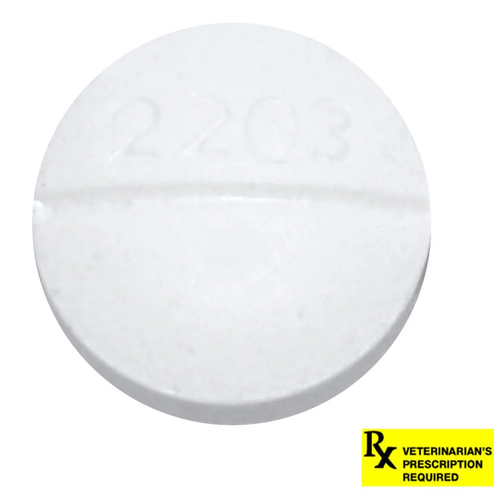 Rx Metoclopramide (Generic) Tablets for Dogs & Cats - Image 3