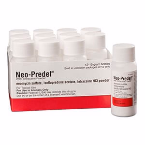 Rx Neo-Predef with Tetracaine Topical Powder for Horses, Dogs, & Cats, 15 gram - Image 2