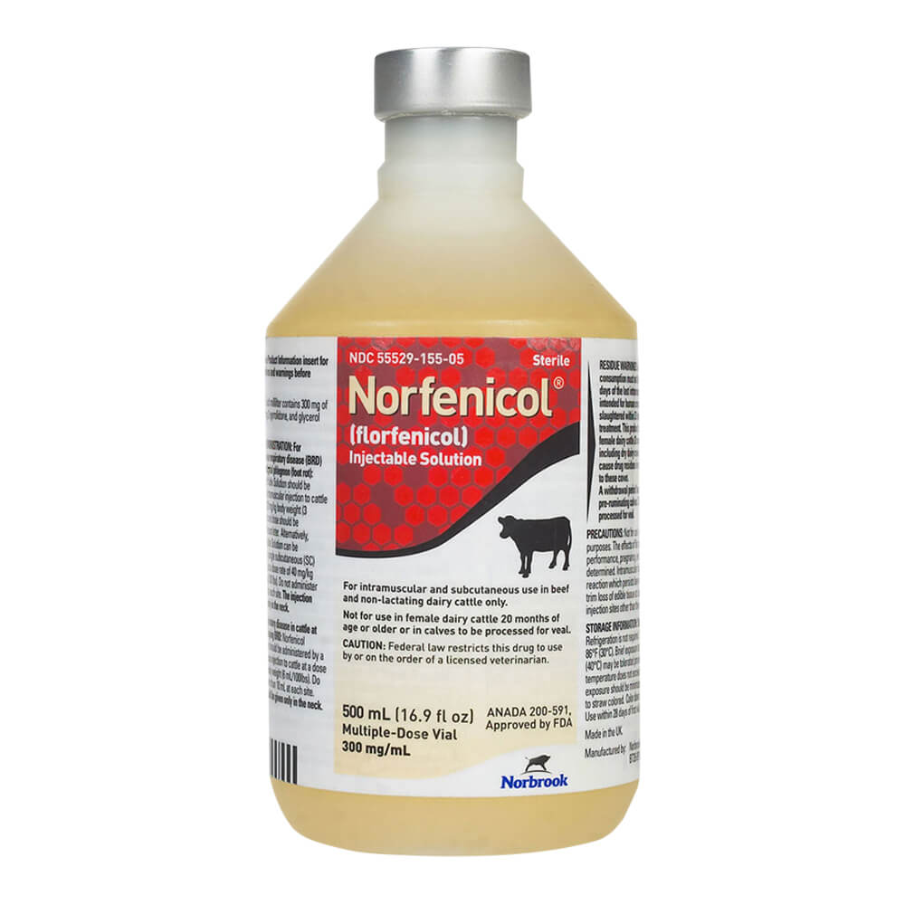Rx Norfenicol Injectable Solution – Florfenicol Antibiotic for Cattle, BRD & Foot Rot Treatment - Image 1