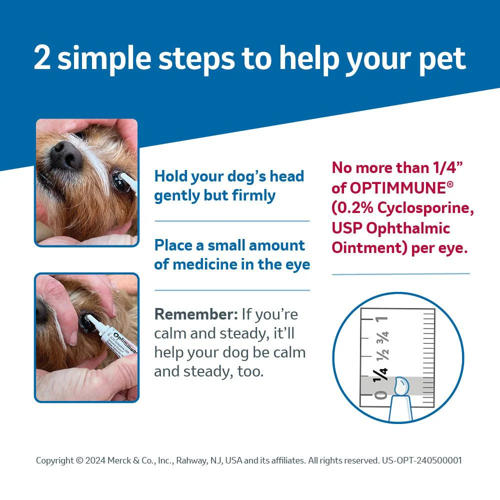 Rx Optimmune (cyclosporine) Opthalmic Ointment for Dogs, 3.5gm Tube - Image 3