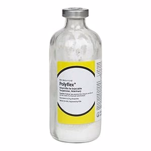 Rx Polyflex (ampicillin) Injection for Dogs, Cats, & Cattle, 25 gm x 200 mL