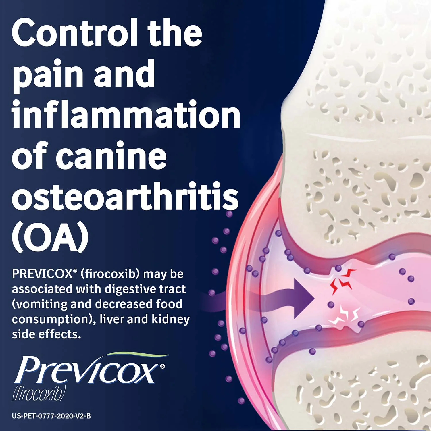 Rx Previcox (firocoxib) Chew Tabs for Dogs - Image 2