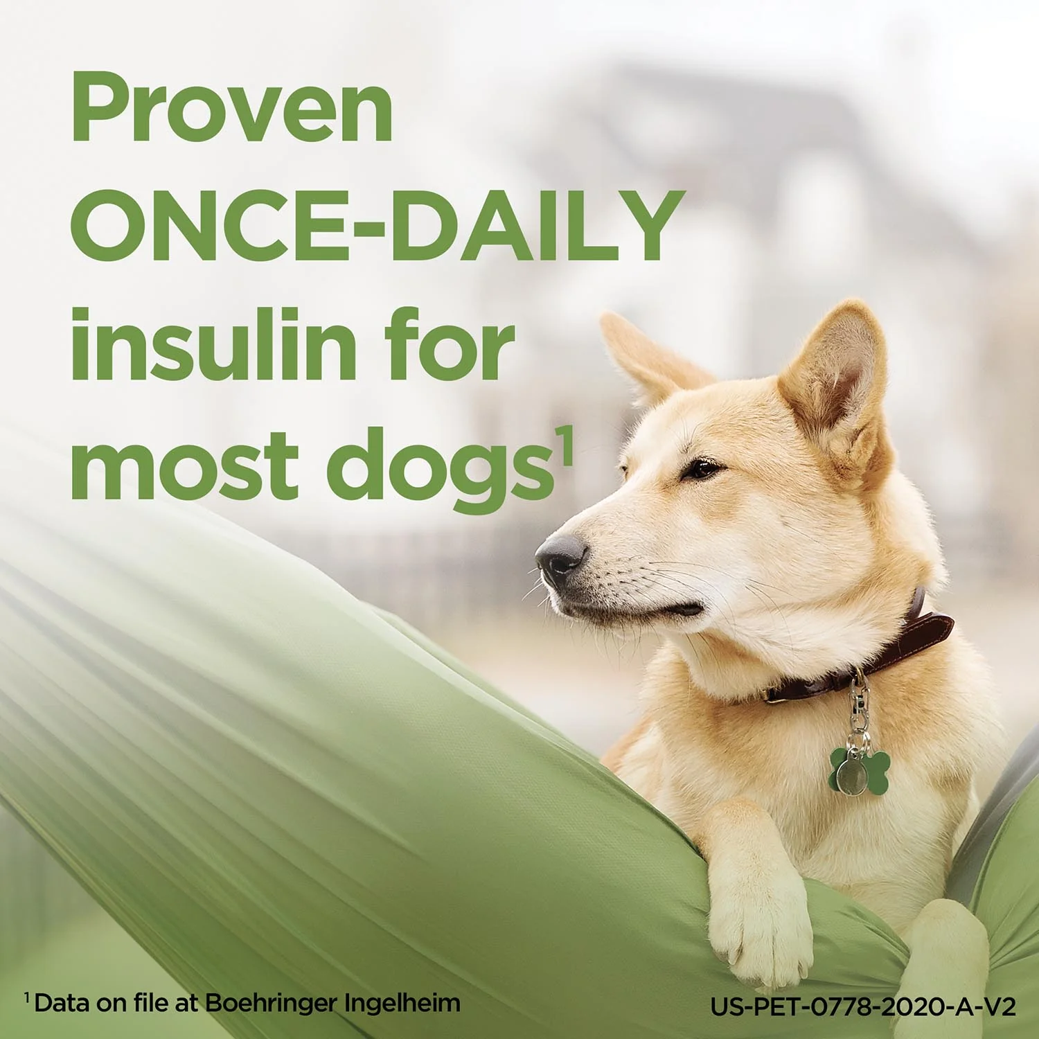 Rx ProZinc (protamine zinc recombinant human insulin) Injection for Dogs & Cats, 40 units/ml, 10ml Vial - Image 2
