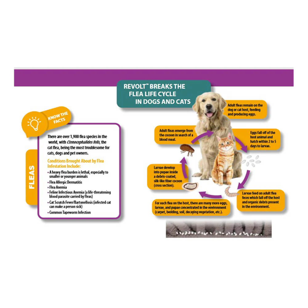 Rx Revolt (Selamectin) for Puppies & Kittens, 0-5 lbs - Image 2