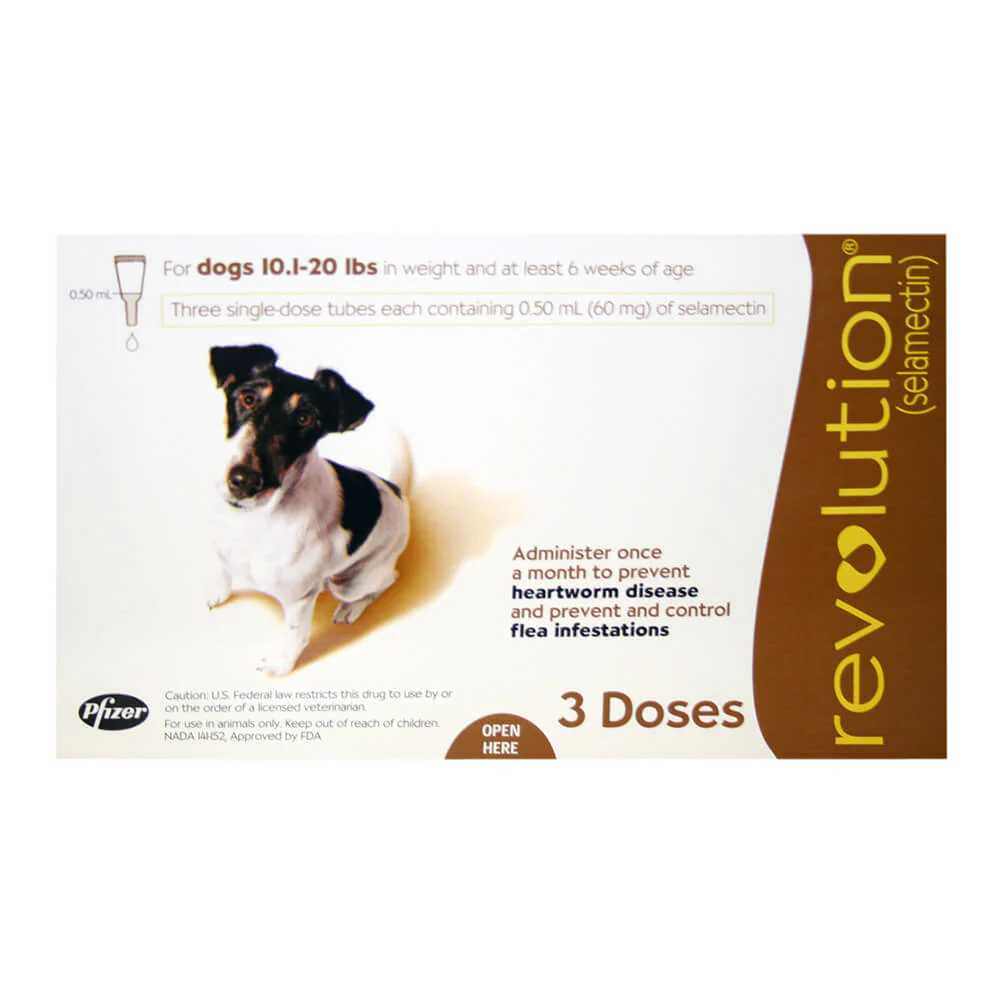 Rx Revolution (selamectin) Canine Once-a-month Flea Topical for Dogs - Image 1