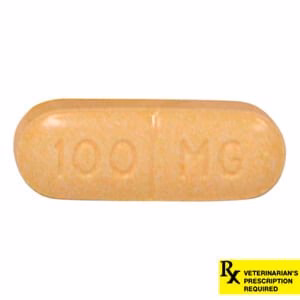 Rx Rimadyl (carprofen) Caplets for Dogs - Image 3