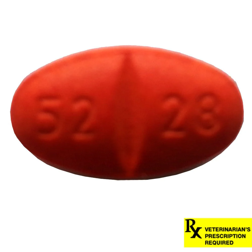 Rx Simplicef Tablets for Dogs - Image 1
