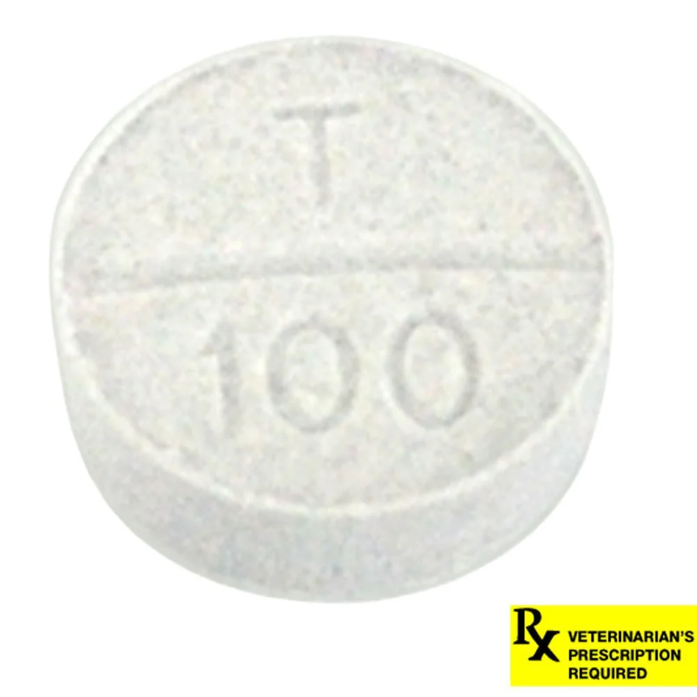 Rx Temaril-P (trimeprazine with prednisolone) Tablets for Dogs - Image 2