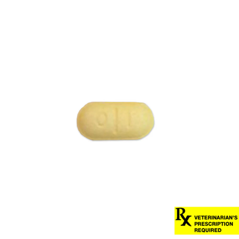Rx Thyro-Tabs (levothyroxine sodium) Tablets for Dogs - Image 2