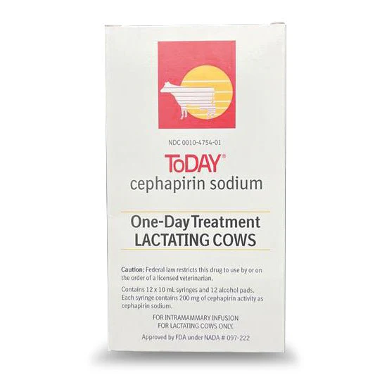 Rx ToDAY (Cephapirin Sodium) One-Day Mastitis Treatment for Lactating Cows, 12 Syringes - Image 1